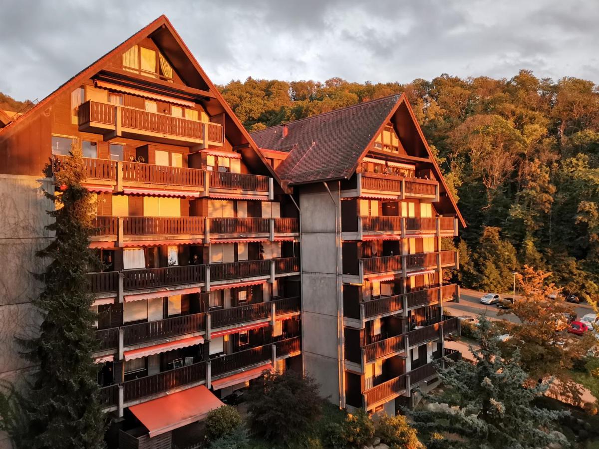 Gaishoell-Wasserfaelle Apartment Schwarzwald Sasbachwalden Luaran gambar
